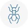 Ant Removals In Highgate
