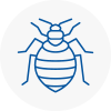Bed Bug Extermination In Highgate