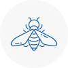Bee Nest Removal Highgate