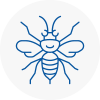 Highgate Hornet Nest Removals