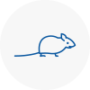 Mice Exterminators In Highgate