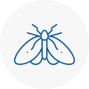 Moth Control Specialists In Highgate