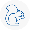 Highgate Rodent Removals